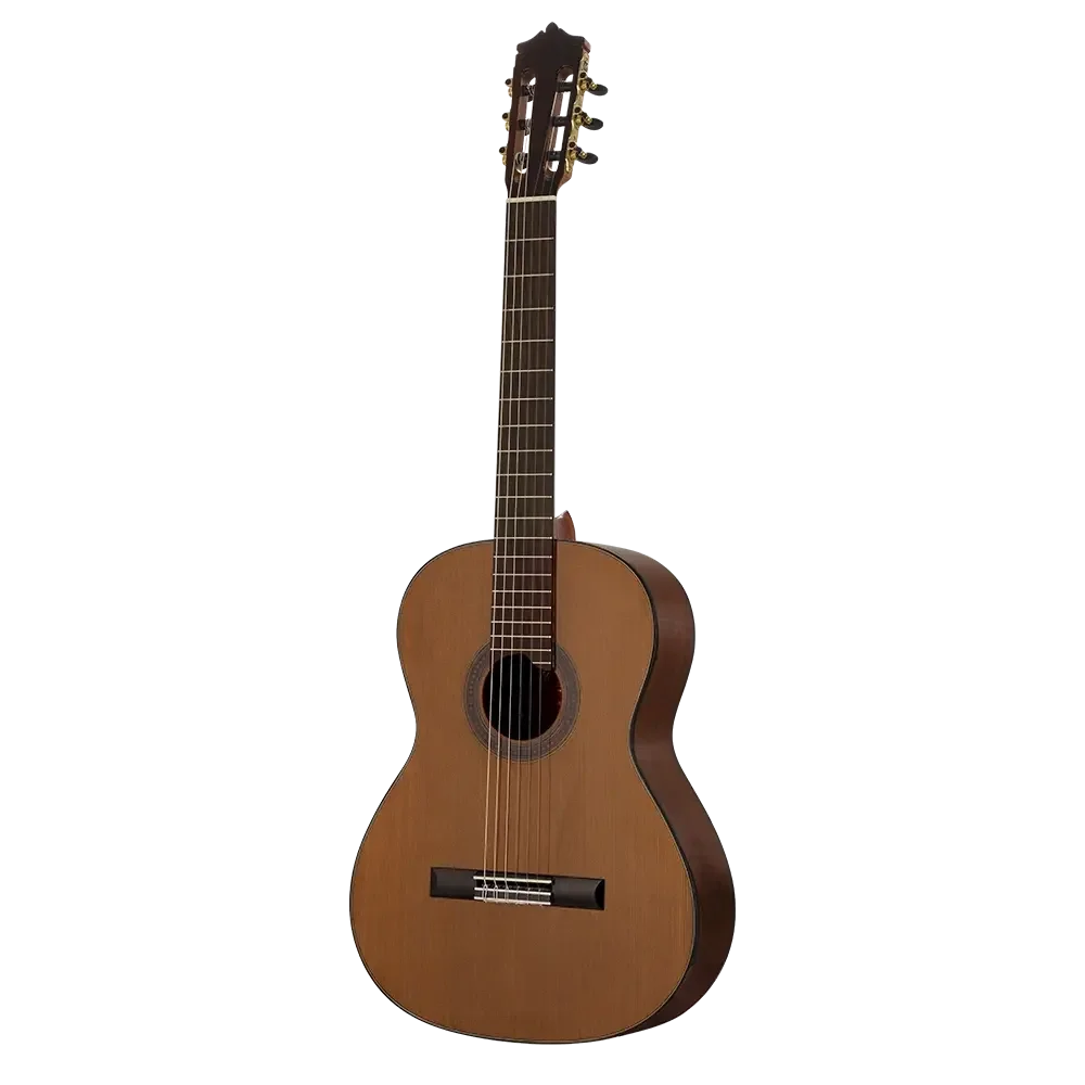 Martinez MC-48C Standard Serisi Klasik Gitar