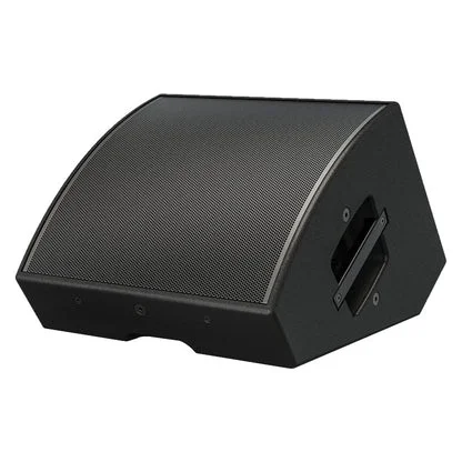 Bose AMM112 12" Multipurpose Pasif Hoparlör