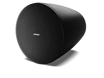 Bose DM6PE DesignMax Hoparlör | Renk: Black