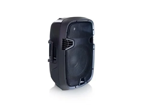 SSP JS15 15" 400W Pasif Hoparlör
