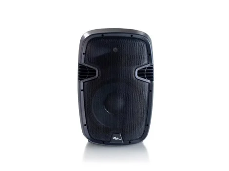 SSP JS8 8" 200W Pasif Hoparlör
