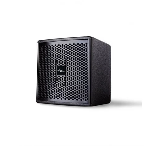 SSP T16 6" Coaxial Pasif Satelite Hoparlör
