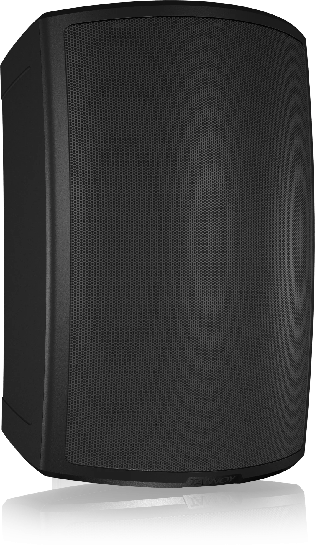 Tannoy AMS 8DC Sinema Hoparlörü 8" Pasif LoudHoparlör, 800/1600W