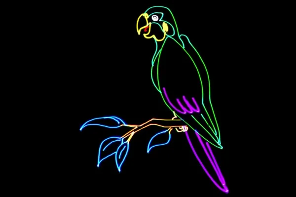 Tarm 3 Reklam Serisi Yüksek Grafik 3W lık RGB Lazer Işık