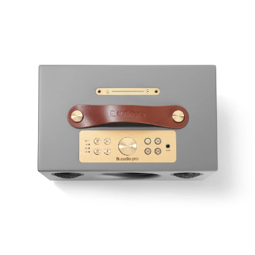 Audio Pro C5A Gri Multiroom Akıllı Ev Hoparlörü (Alexa destekli)