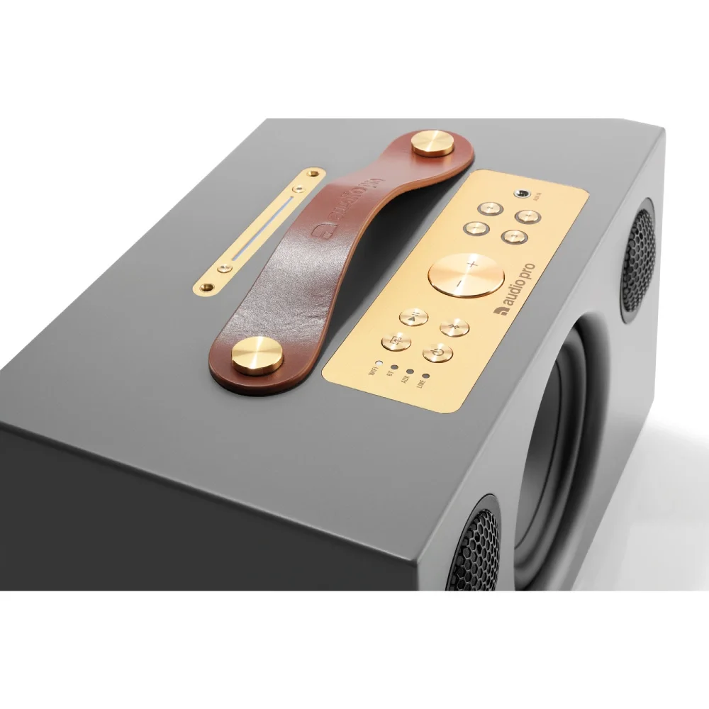 Audio Pro C5A Gri Multiroom Akıllı Ev Hoparlörü (Alexa destekli)