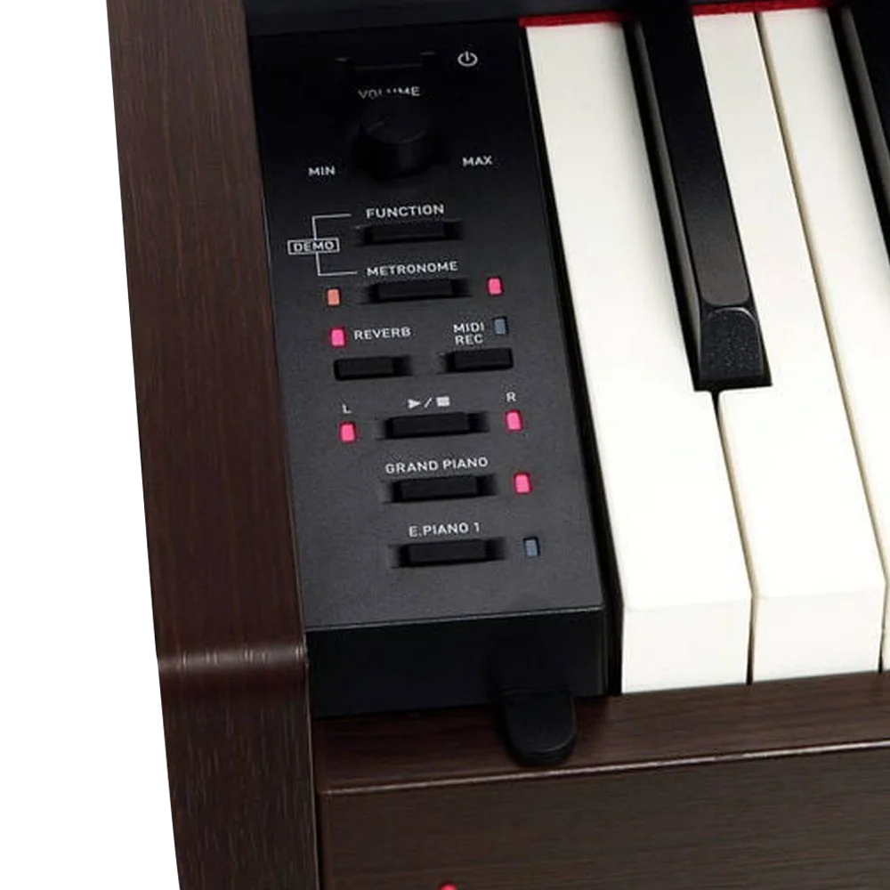 CASIO PX-770BN Privia Gülağacı Dijital Piyano (Kulaklık Hediyeli)