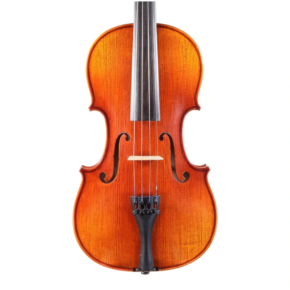 Höfner H5G-V4/4 El Yapımı Keman