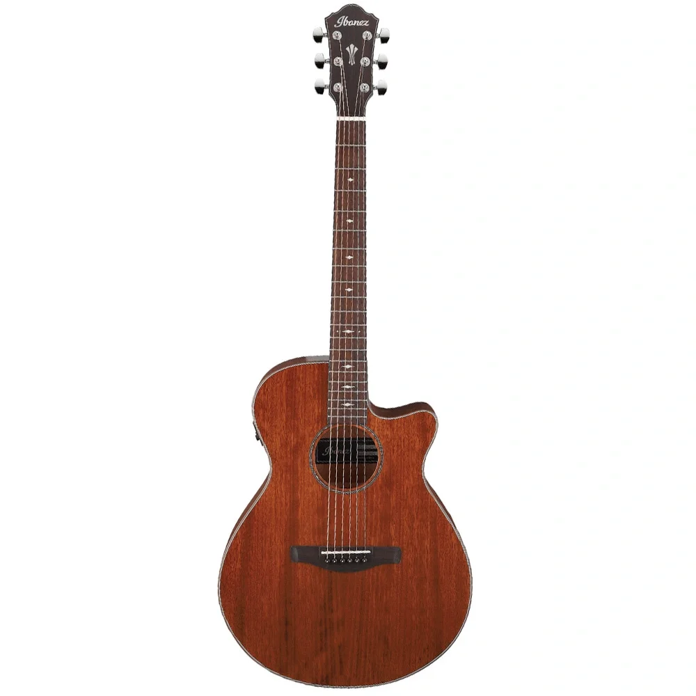 Ibanez AEG220-LGS AEG Serisi Elektro Akustik Gitar