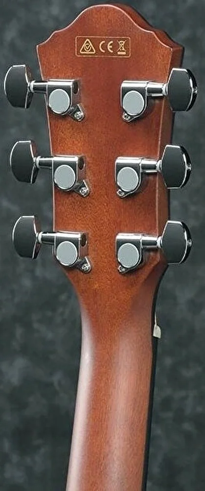 IBANEZ AEG50-IBH Elektro Akustik Gitar