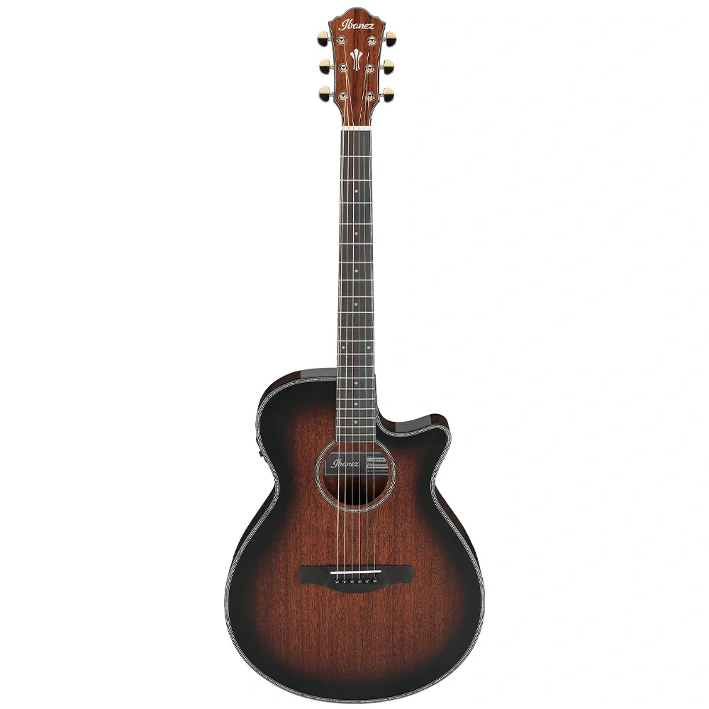 Ibanez AEG74-MHS Elektro Akustik Gitar
