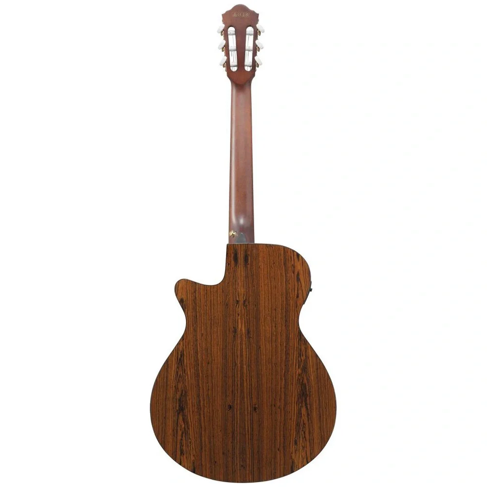 Ibanez AEG74N-MHS Elektro Akustik Gitar