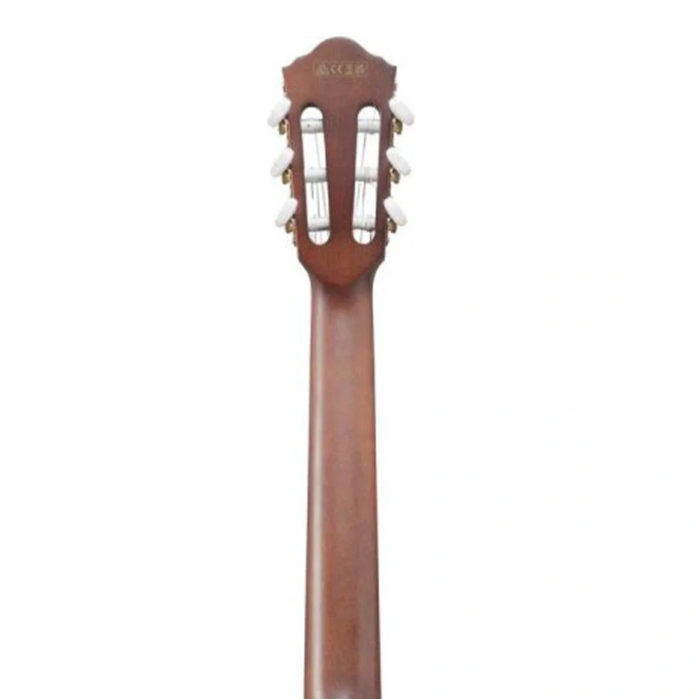 Ibanez AEG74N-MHS Elektro Akustik Gitar