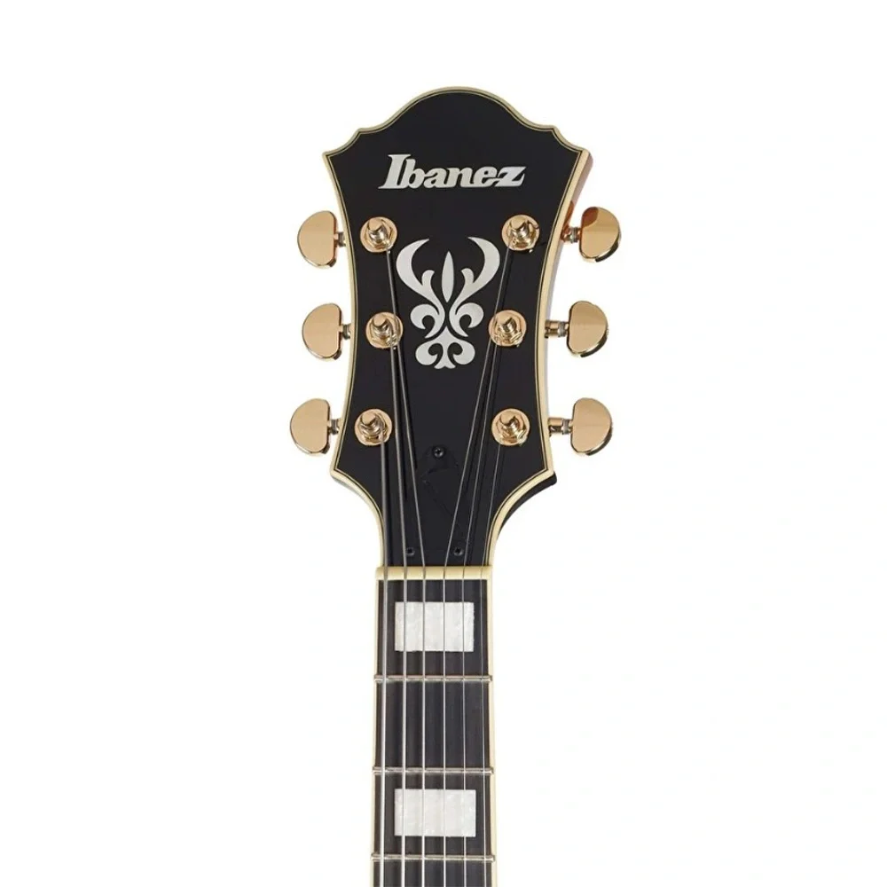 IBANEZ AF95-BS Artcore Expressionist AF Serisi Elektro Gitar