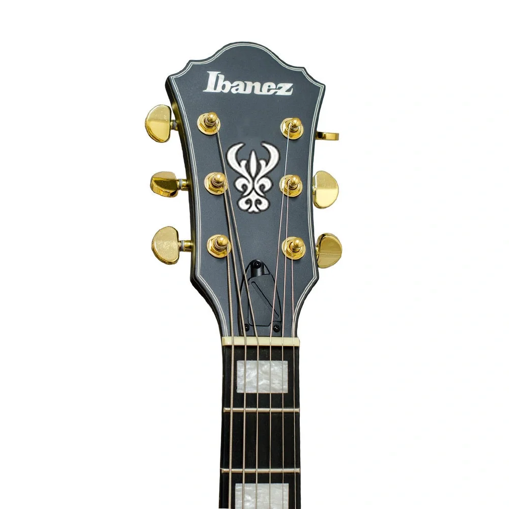 IBANEZ AG85-BKF AG Elektro Gitar