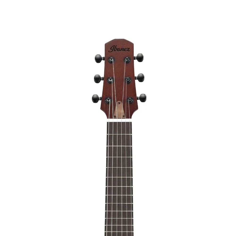 Ibanez AUP10N-OLB Klasik Gitar