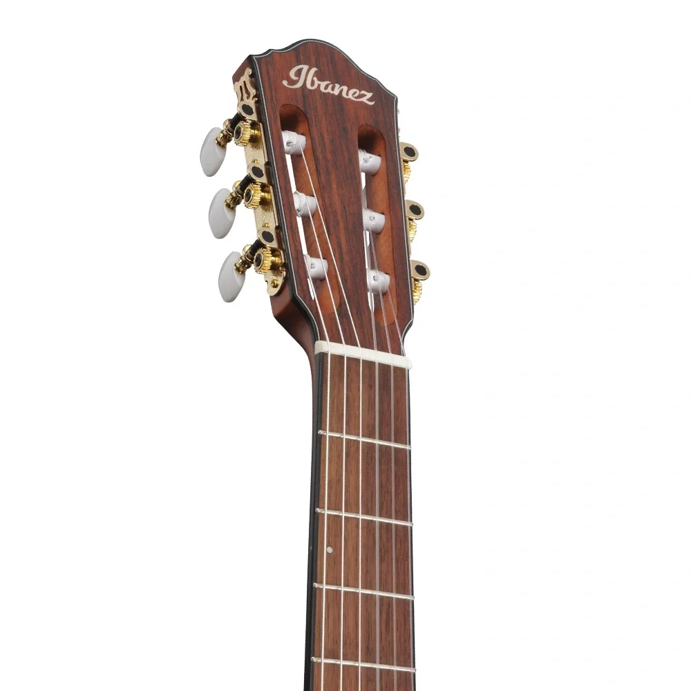Ibanez FRH10N-RGF Thinline Elektro Klasik Gitar