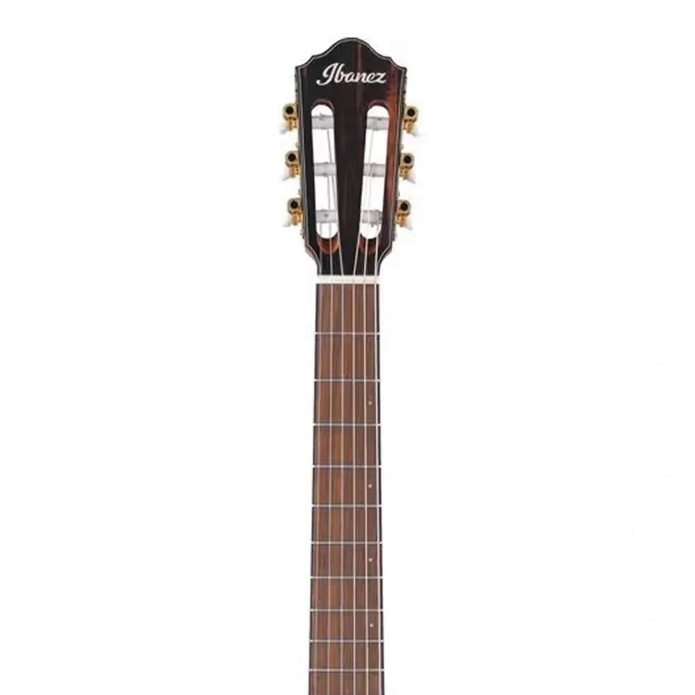 Ibanez FRH10NL-BSF Thinline Solak Elektro Klasik Gitar
