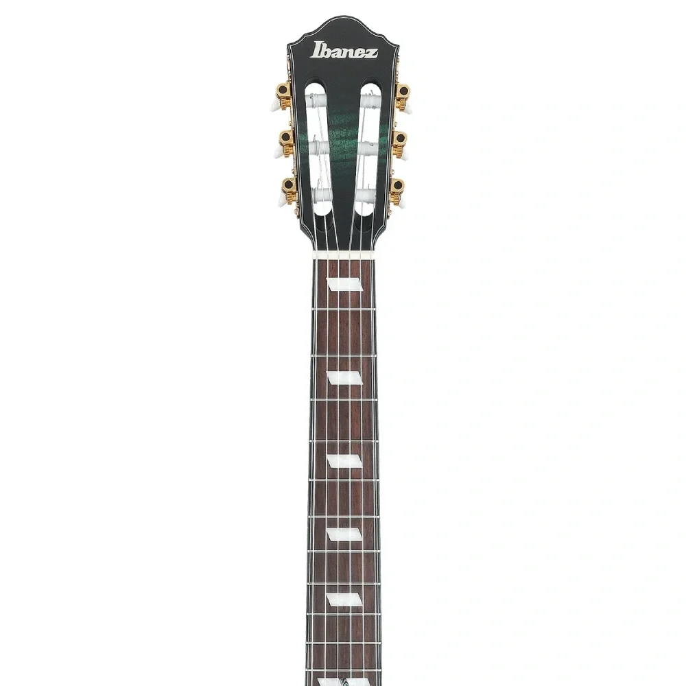 Ibanez FRH20FMN-DGL Elektro Gitar