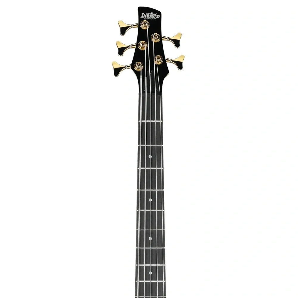 Ibanez GSR205PC-TMU GSR Serisi 5 Telli Bas Gitar