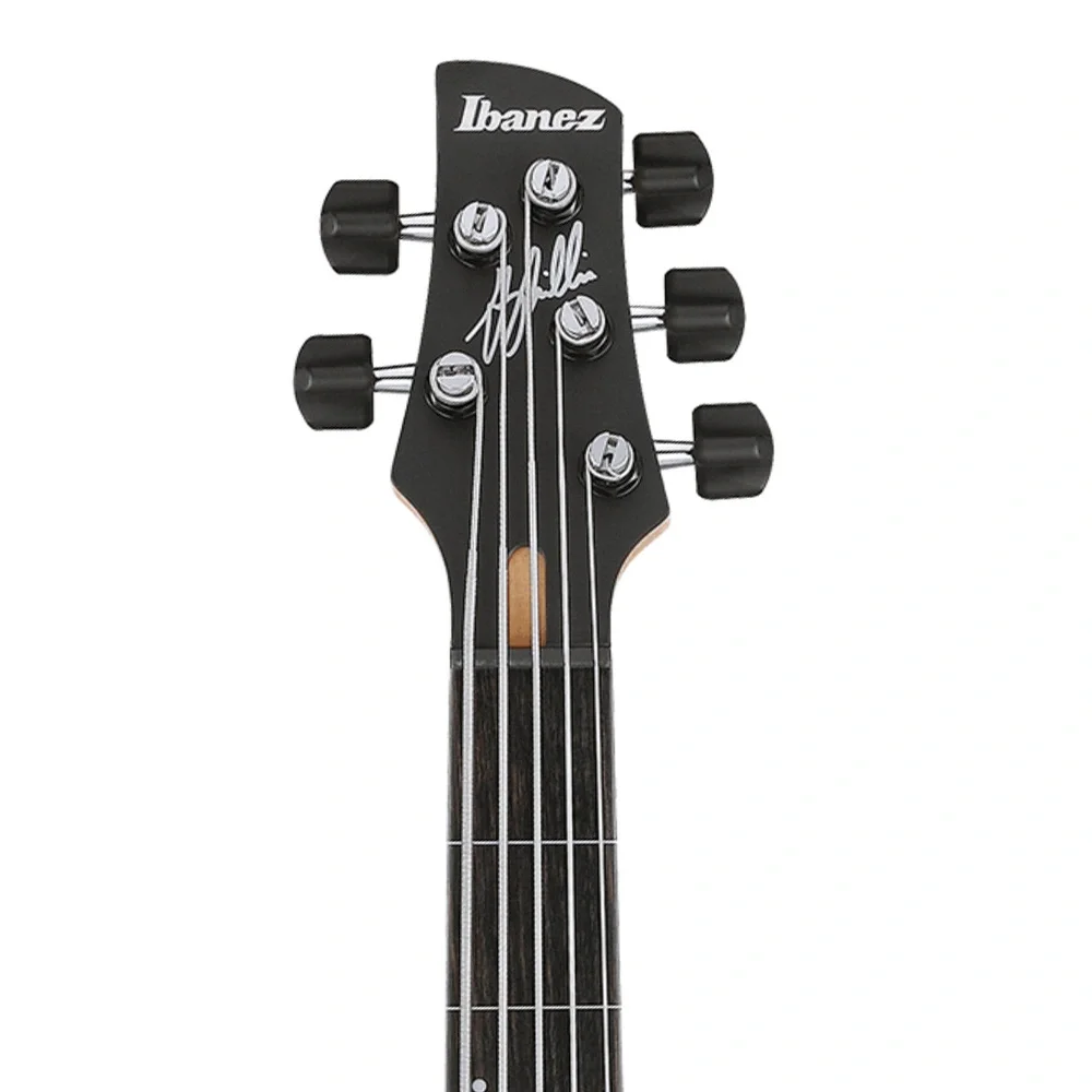 Ibanez GWB25TH-SWF Bas Gitar