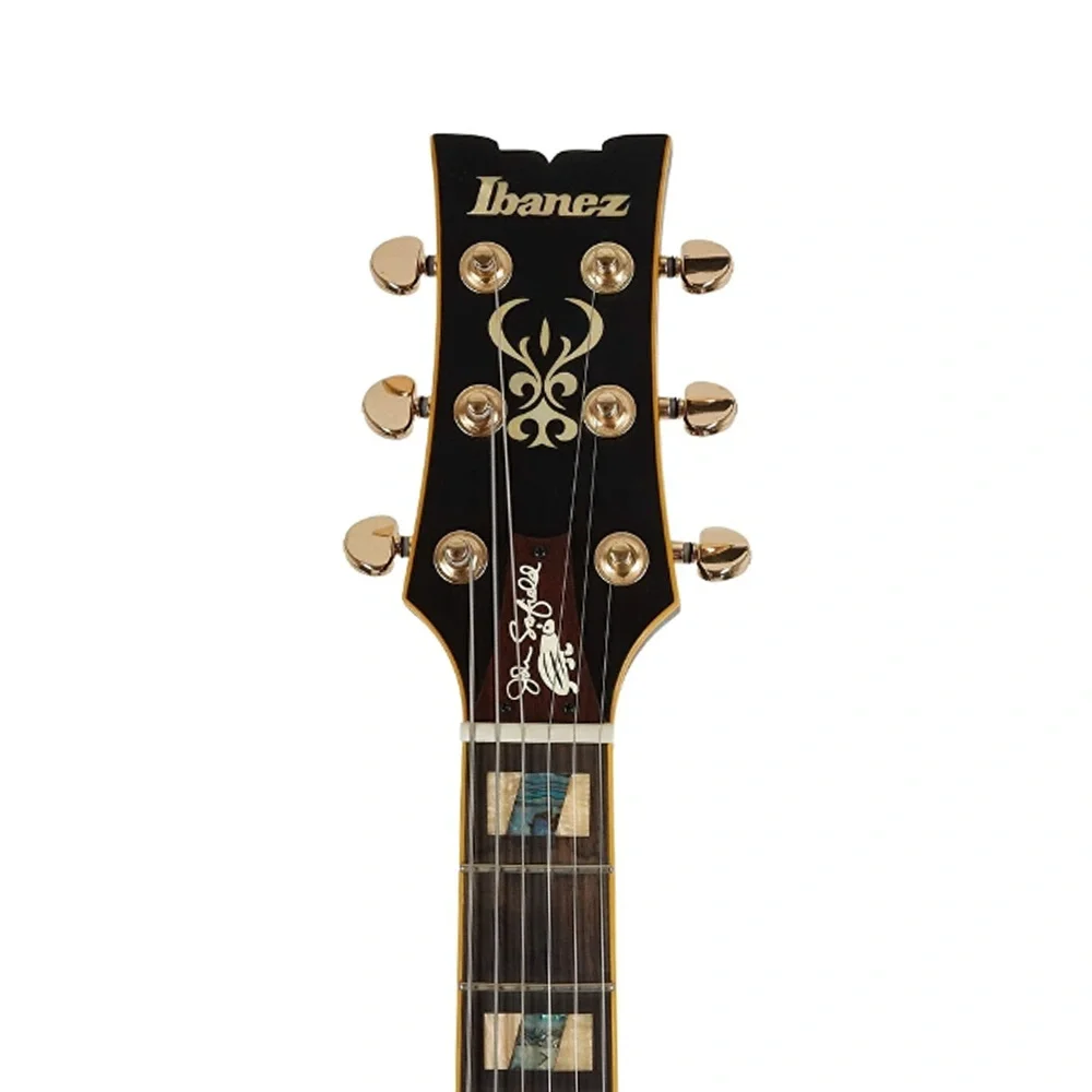 IBANEZ JSM20-BKL JSM Elektro Gitar (Case Dahil)