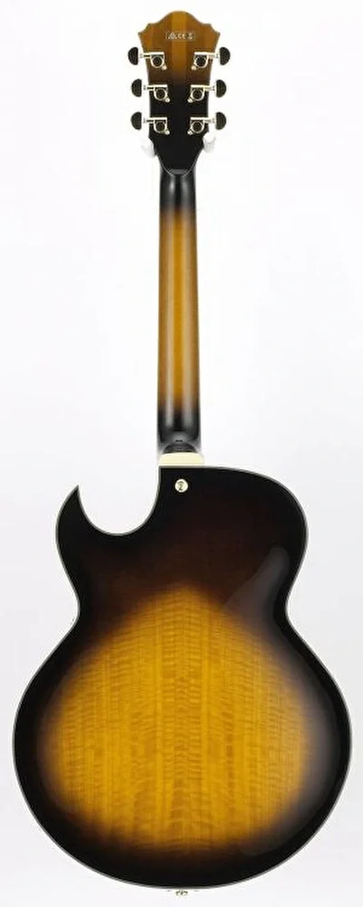 IBANEZ LGB30-VYS Elektro Gitar (Case Dahil)