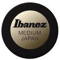 IBANEZ PA1M-BK Siyah Flat Pena