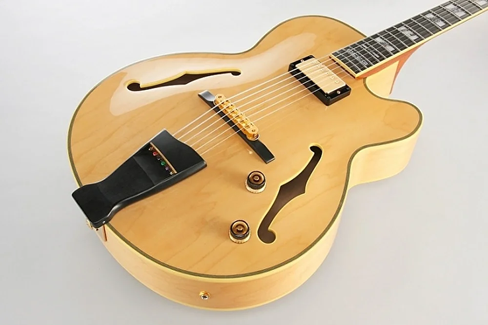 IBANEZ Pat Metheny PM200 NT Elektro Gitar Case Dahi