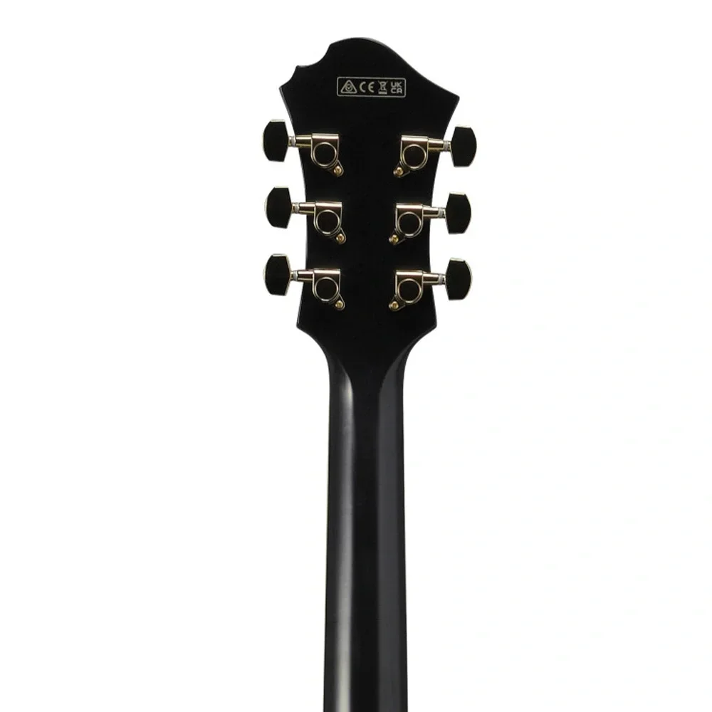 Ibanez PM3C-BKL Pat Metheny Signature Siyah Hollow Body Elektro Gitar