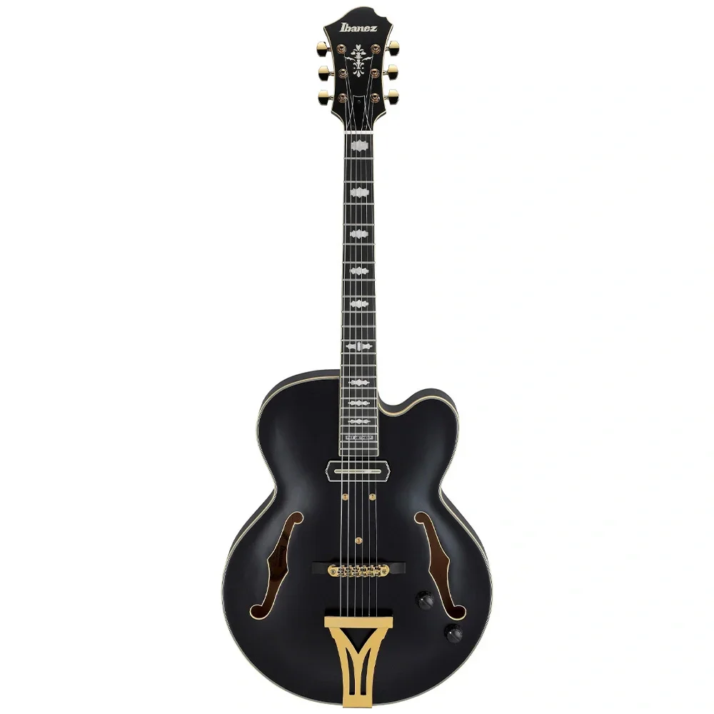 Ibanez PM3C-BKL Pat Metheny Signature Siyah Hollow Body Elektro Gitar