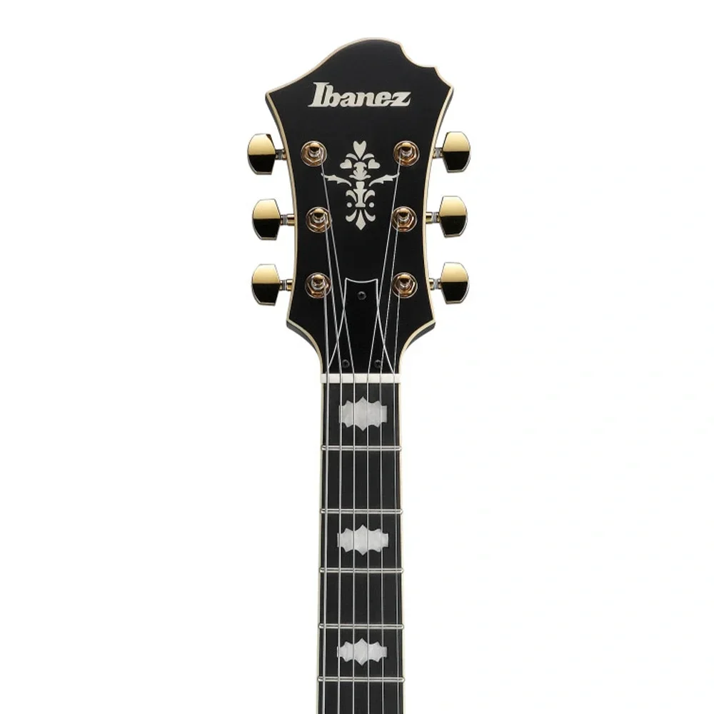 Ibanez PM3C-BKL Pat Metheny Signature Siyah Hollow Body Elektro Gitar
