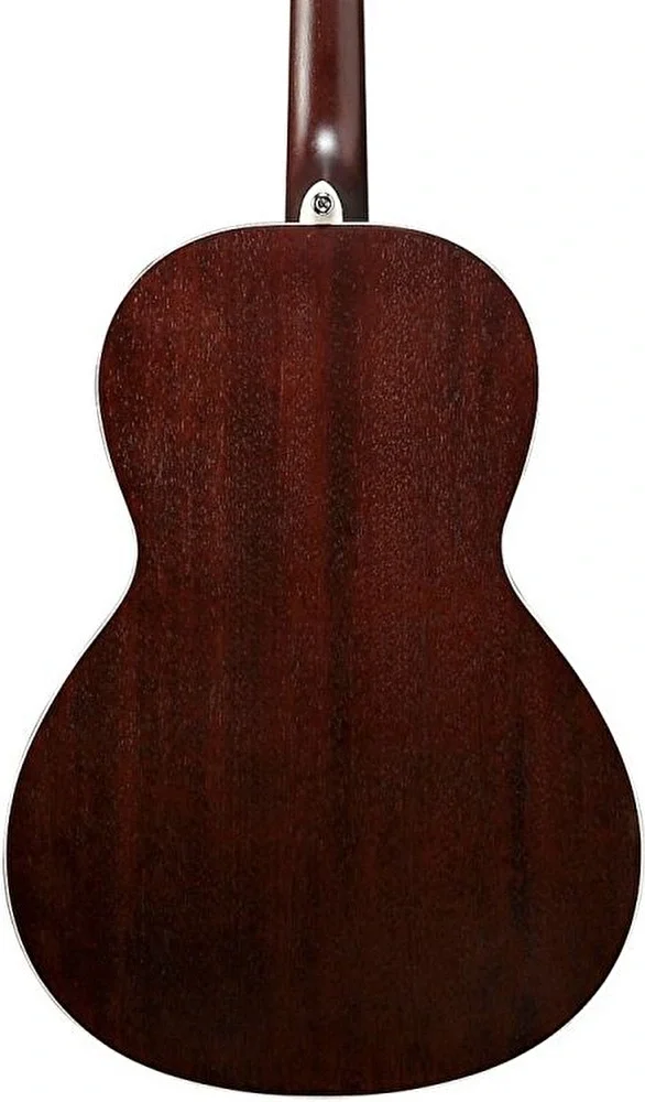 IBANEZ PN19-ONB Akustik Gitar