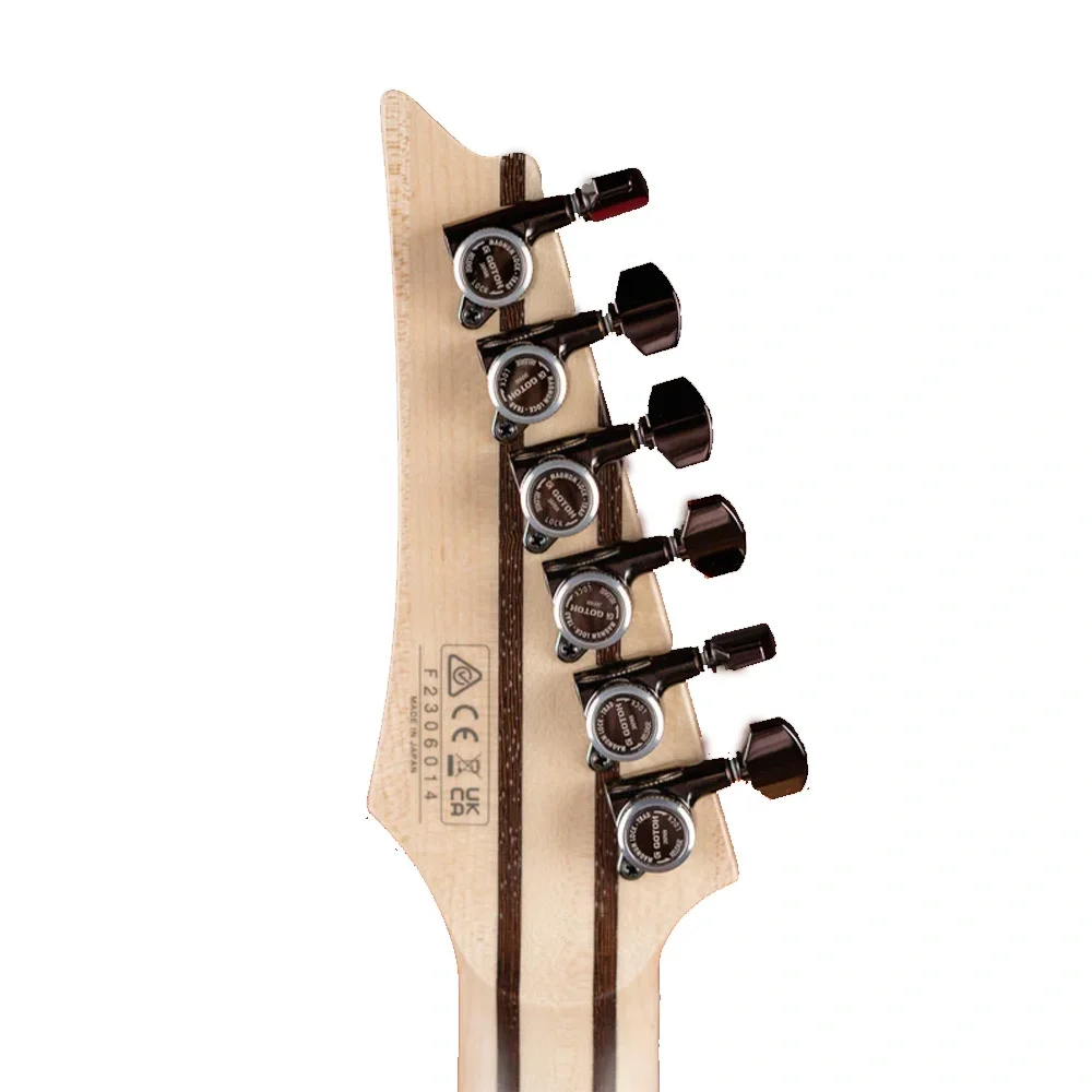 Ibanez RG5121-DBF RG Prestige Serisi Elektro Gitar