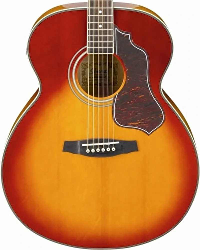 Ibanez SGT630E-HS E Akustik Gitar(Akort Cihazlı)