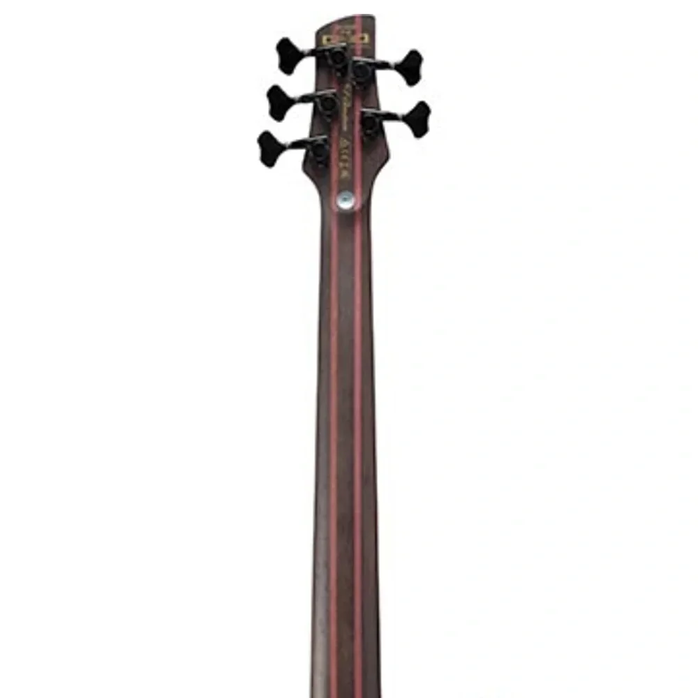 Ibanez SR1355B-DUF SR Premium Serisi 5 Telli Bas Gitar