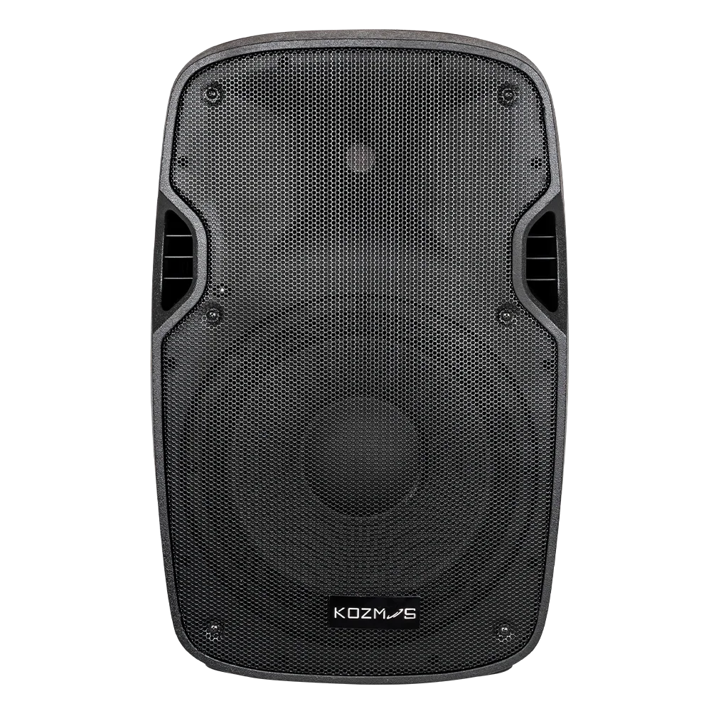 Kozmos KPA-2912PSSV / 12" 2 Yol Pasif Hoparlör