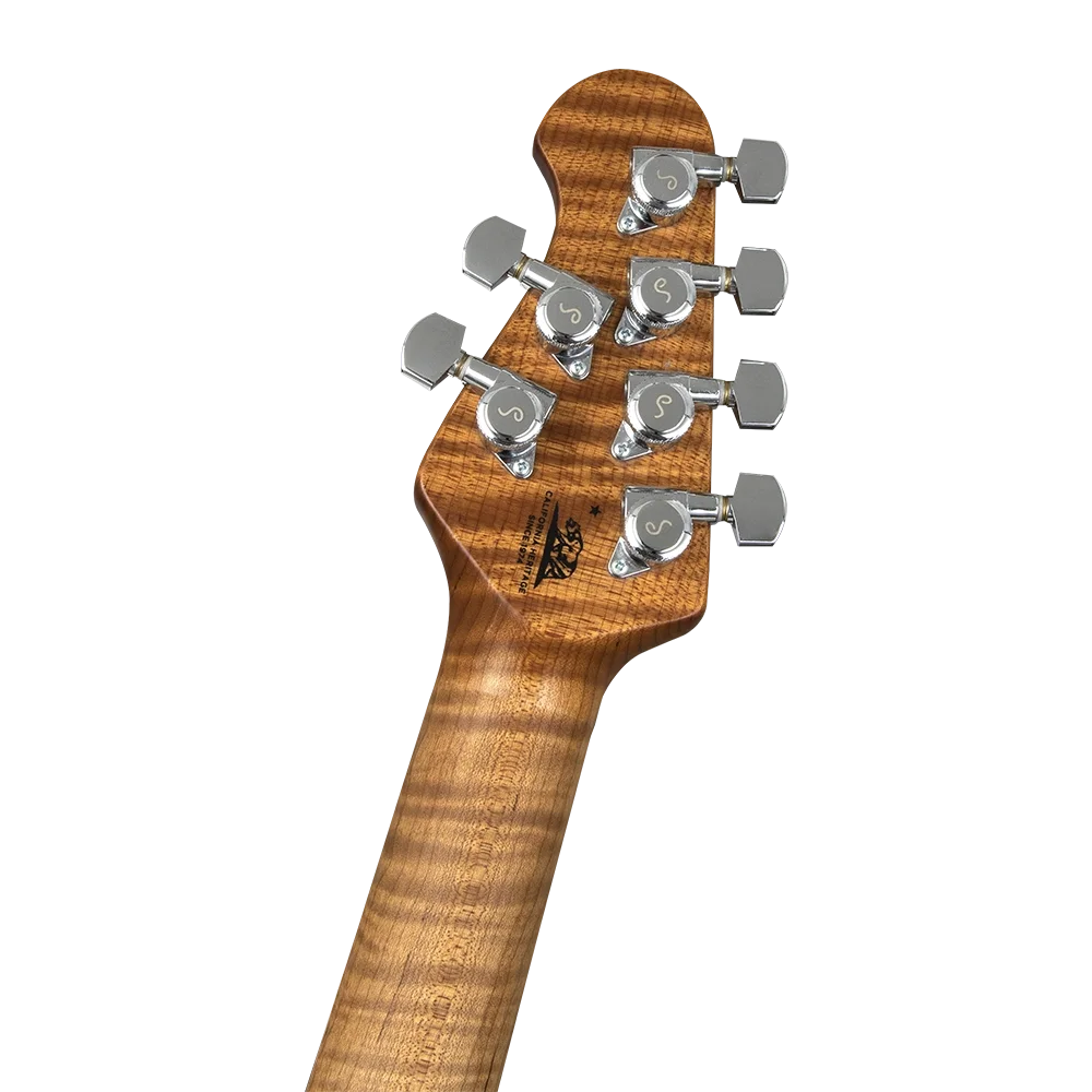 MUSIC MAN StingRay RS Serisi Fremist Silver Elektro Gitar