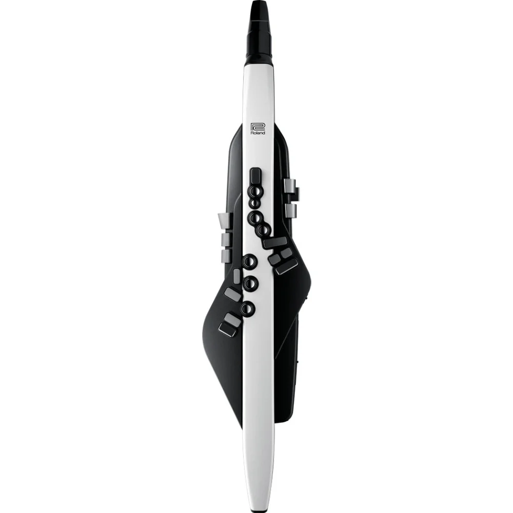 ROLAND AE-20 Aerophone Dijital Nefesli Enstrüman
