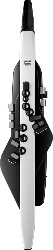 ROLAND AE-20 Aerophone Dijital Nefesli Enstrüman