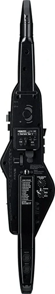 Roland AE-30 Aerophone Pro Dijital Nefesli Enstrüman
