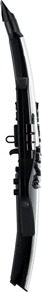 Roland AE-30 Aerophone Pro Dijital Nefesli Enstrüman