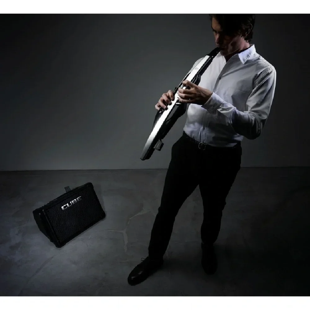 Roland AE-30 Aerophone Pro Dijital Nefesli Enstrüman