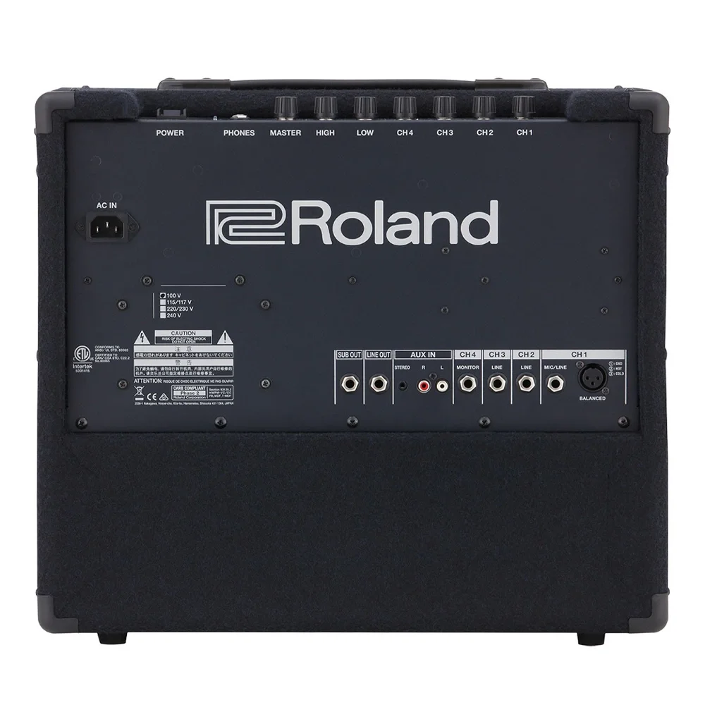 ROLAND KC-200 Klavye Amfisi