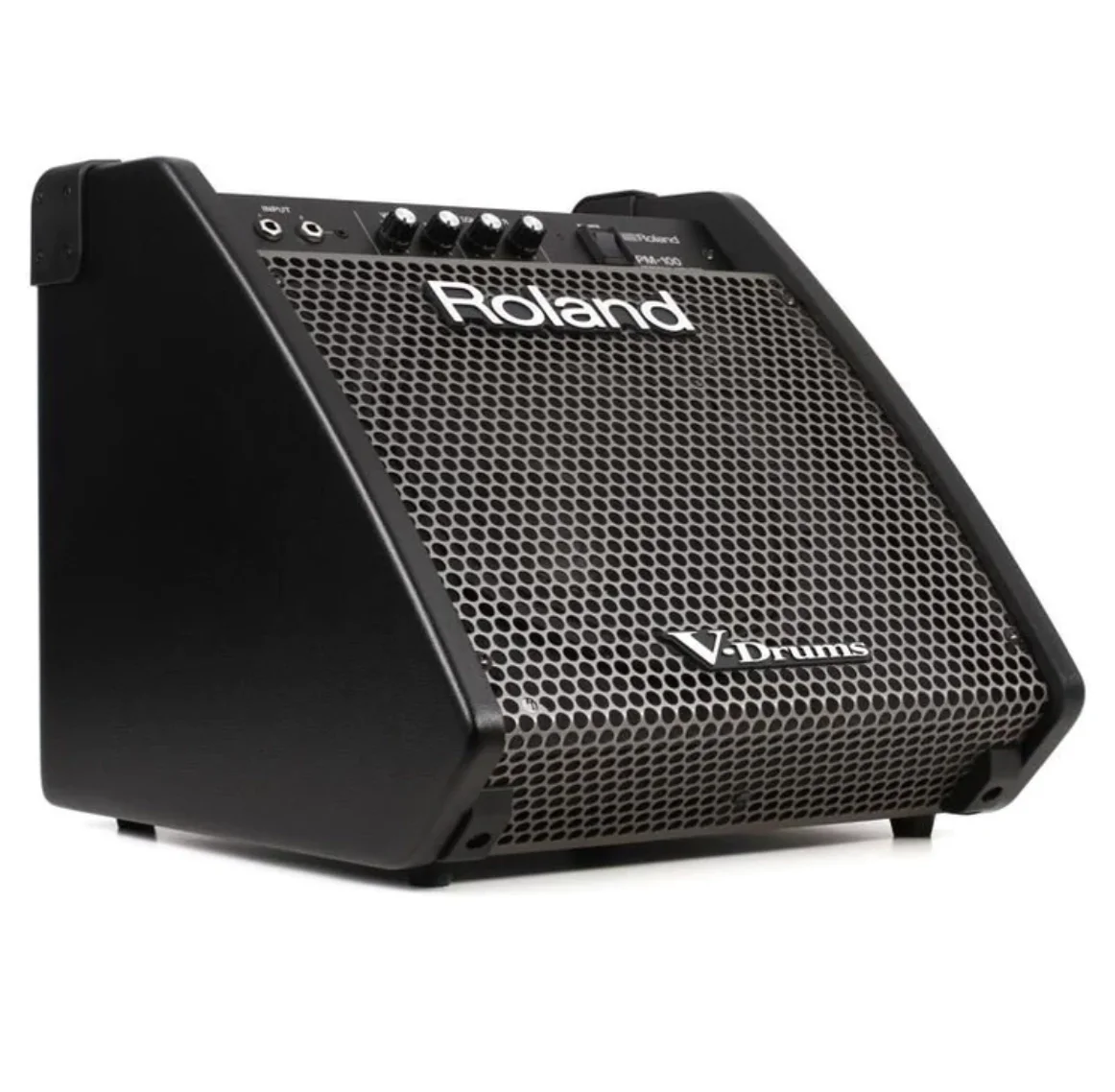 ROLAND PM-100 - 80W Davul Monitörü