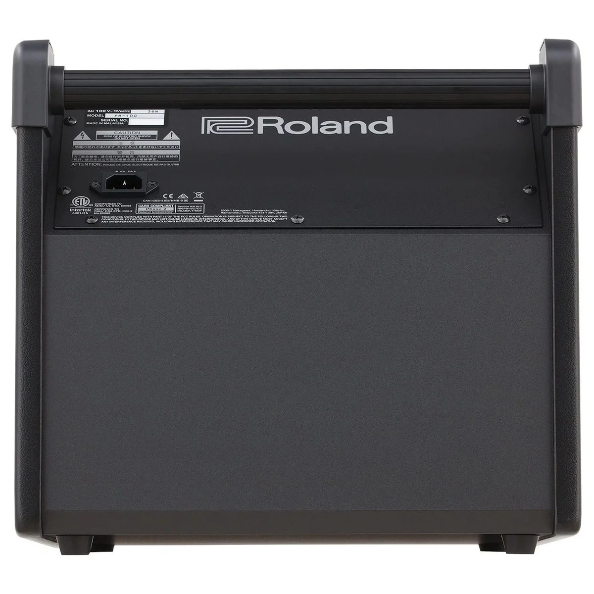 ROLAND PM-100 - 80W Davul Monitörü