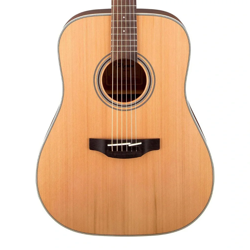 Takamine GD20-NS Akustik Gitar