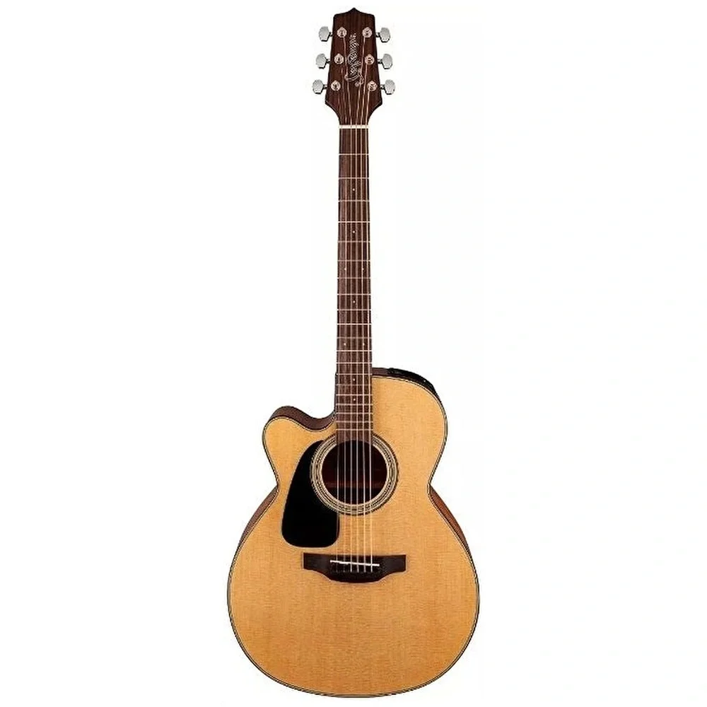 TAKAMINE GN10CELH NS SERIES 10