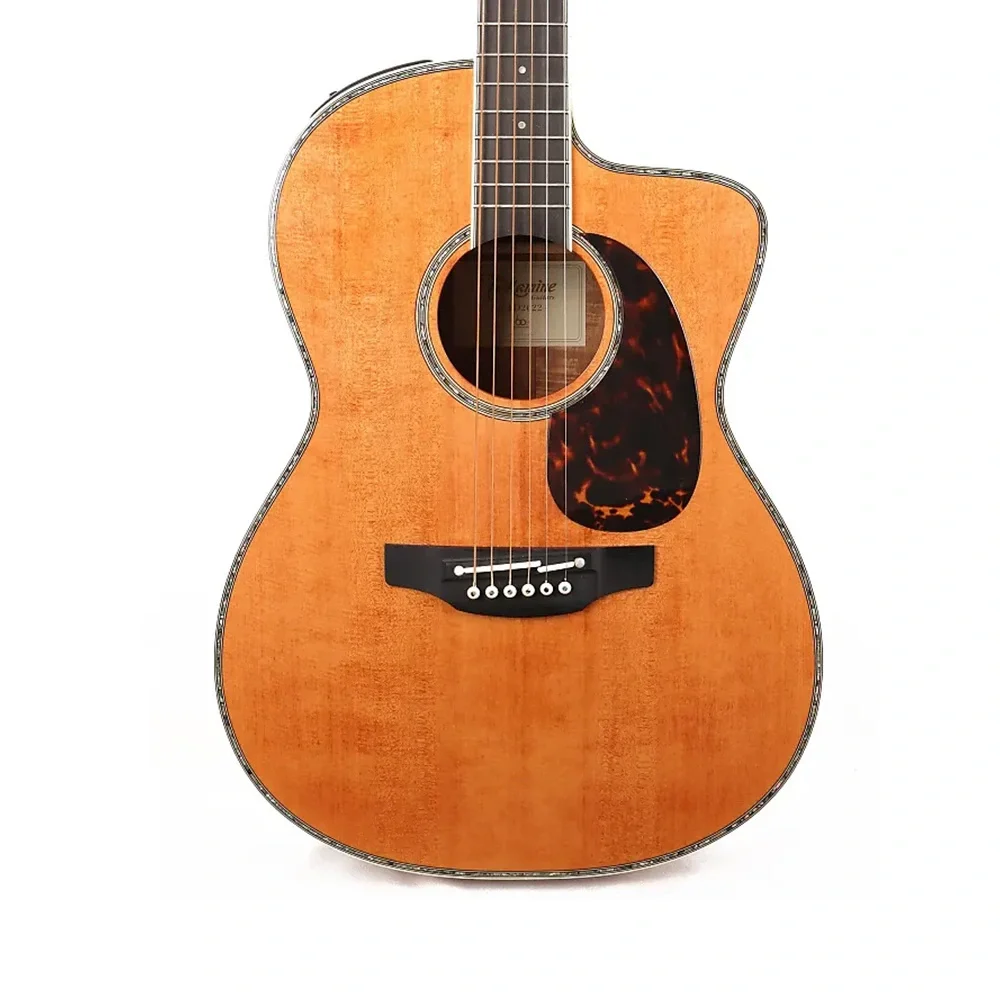 Takamine LTD2022 Elektro Akustik Gitar