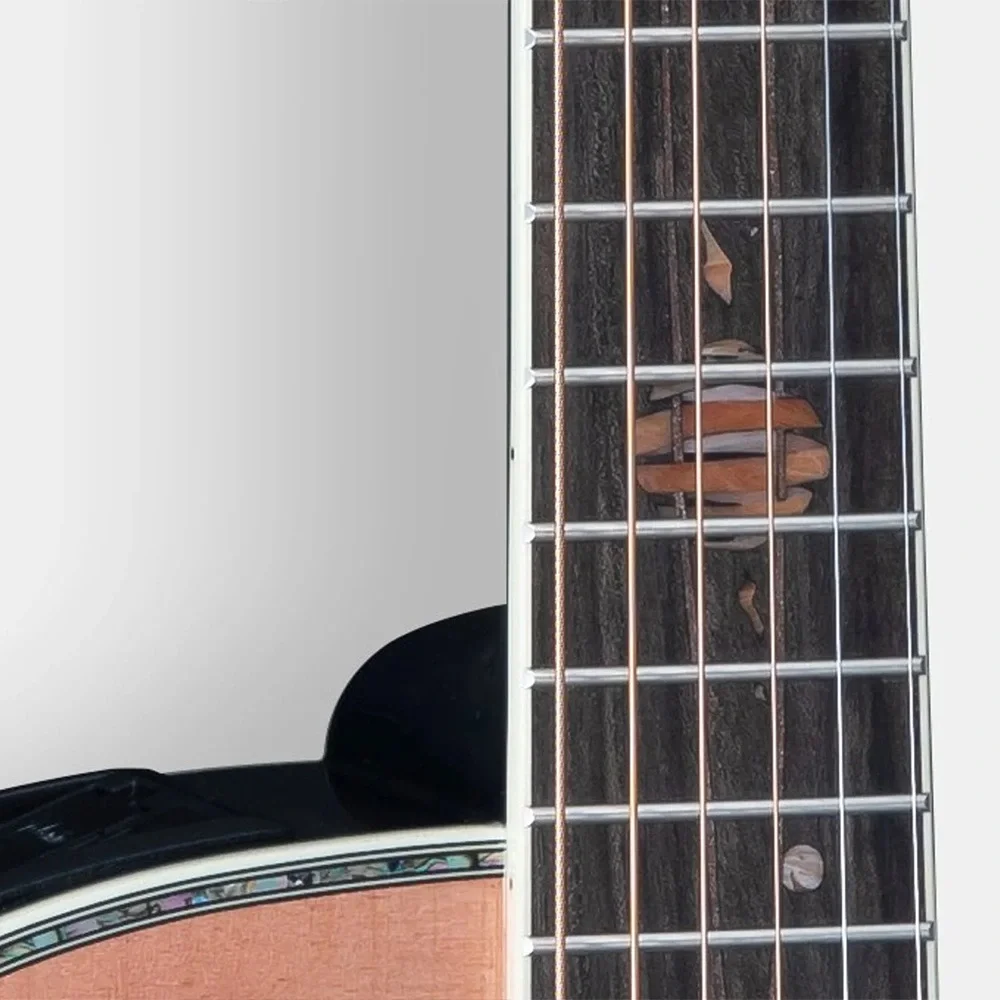 Takamine LTD2024 Limited Edition Elektro Akustik Akustik Gitar